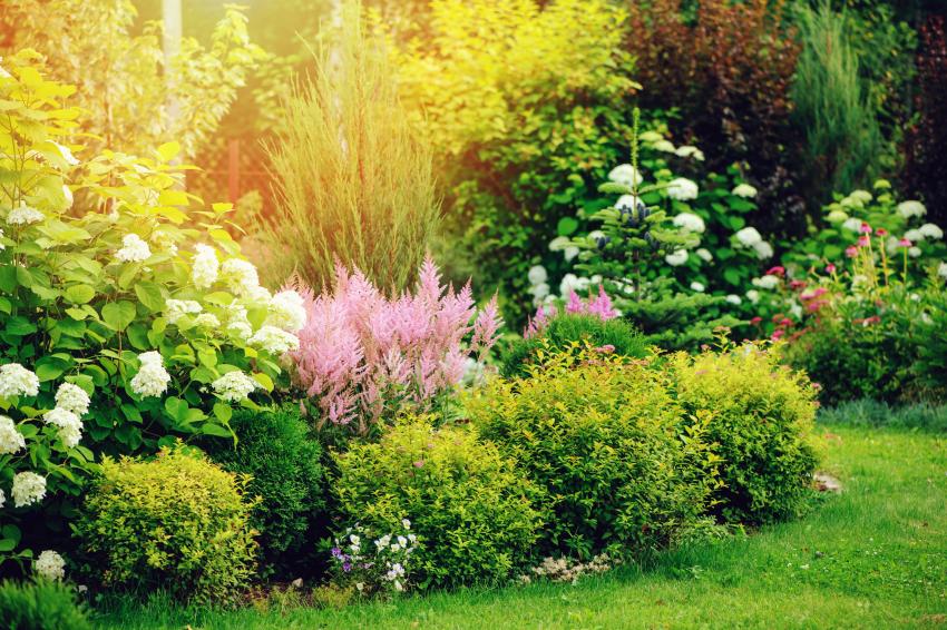 15 Best Foliage Plants for a Vibrant Yard LoveToKnow