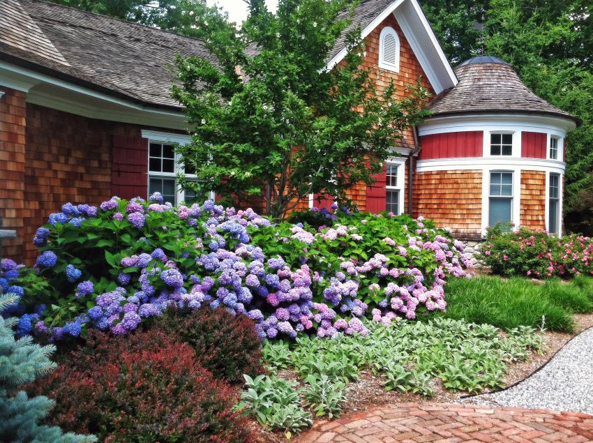 16 Best Shrubs for the Front of Your House to Create Curb Appeal ...