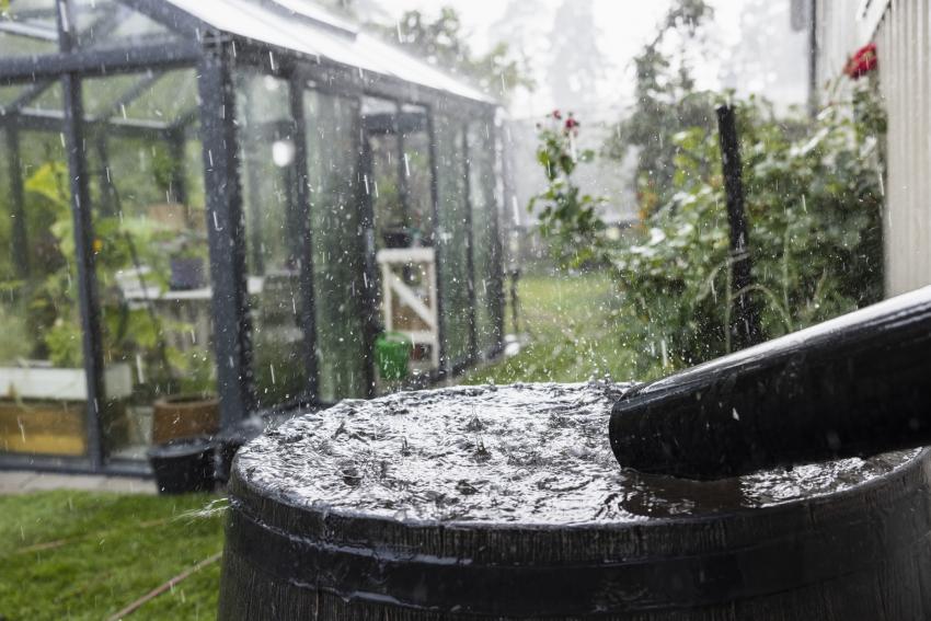 Is It Illegal to Collect Rainwater? Some States Have Regulations