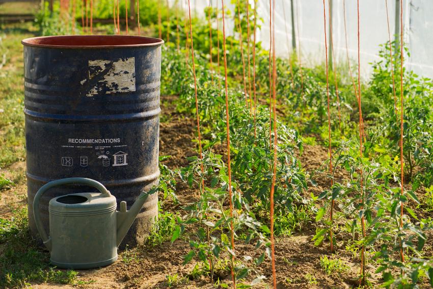 Is It Illegal to Collect Rainwater? Some States Have Regulations