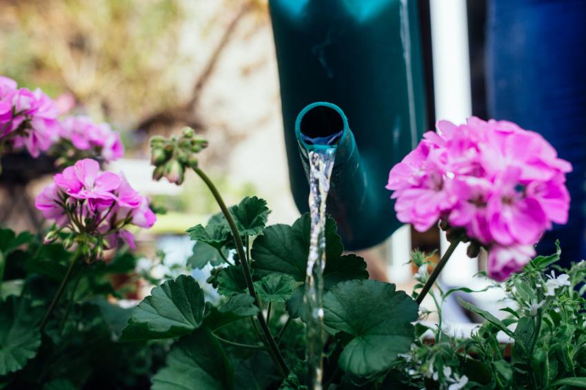 Is It Illegal to Collect Rainwater? Some States Have Regulations