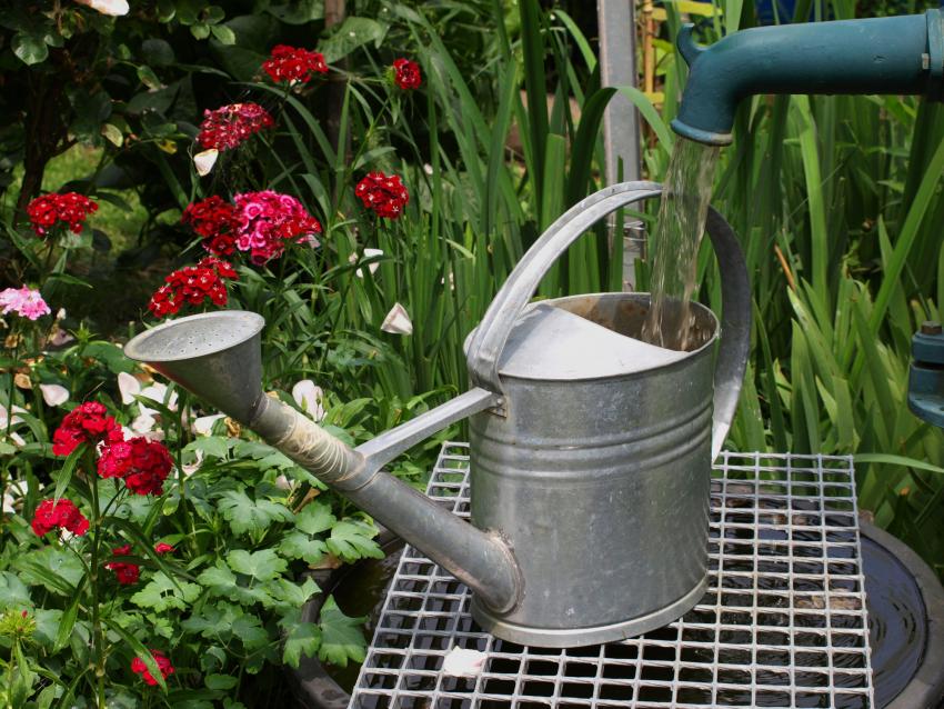 Is It Illegal to Collect Rainwater? Some States Have Regulations