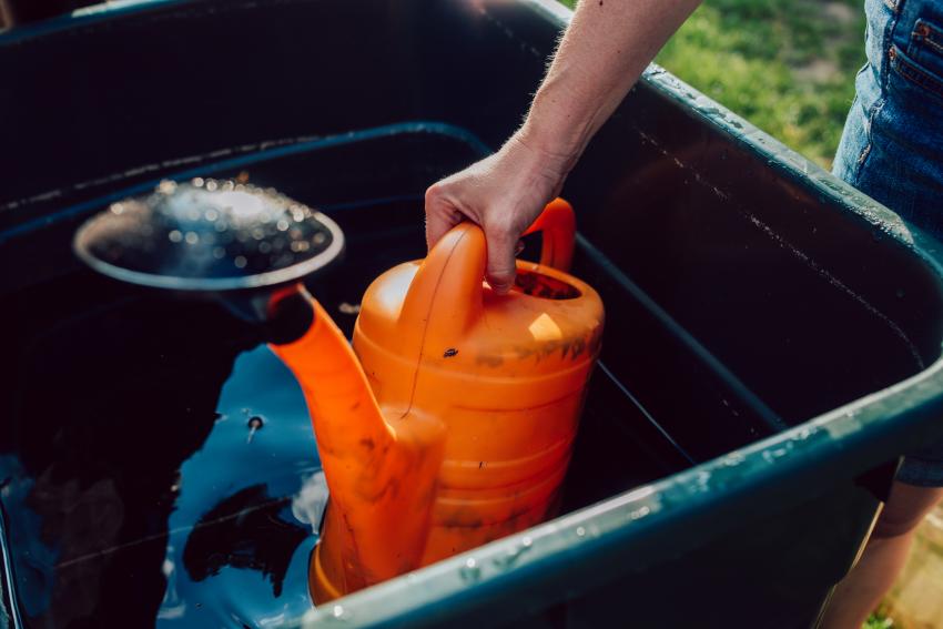 Is It Illegal to Collect Rainwater? Some States Have Regulations