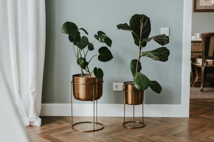 How to Arrange Houseplants for a Stylish Presentation LoveToKnow