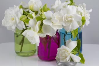 https://cf.ltkcdn.net/home/garden/images/slide/340400-850x567-gardeniavases-474249068.jpg