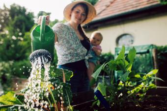 https://cf.ltkcdn.net/home/garden/images/slide/343179-850x567-watering-veggies-1329924338.jpg