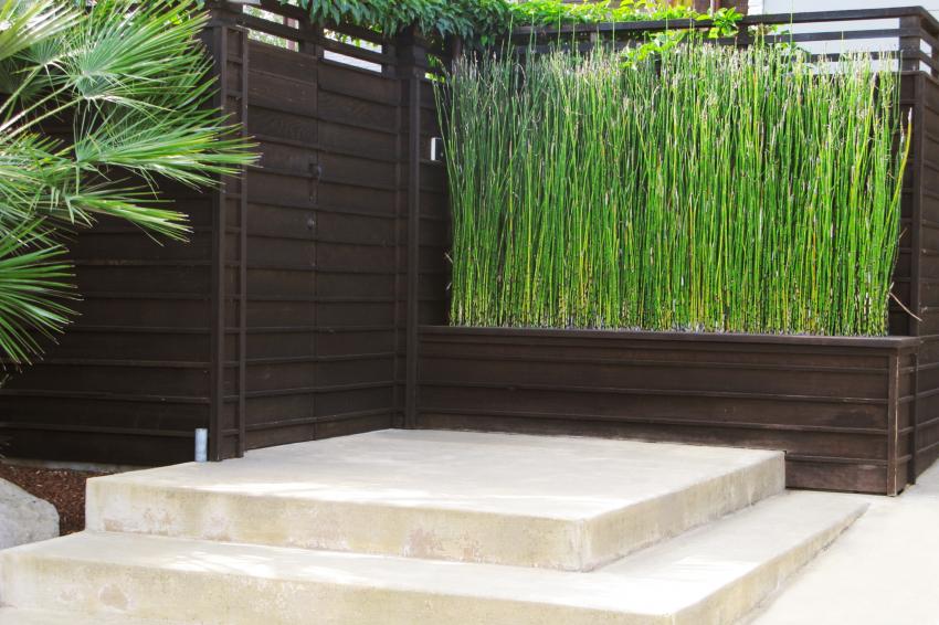 12 Easy Patio Wall Ideas to Spruce Up Your Outdoor Space LoveToKnow