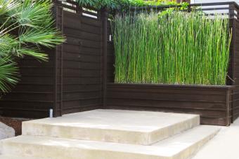 https://cf.ltkcdn.net/home/projects-diy/images/slide/340718-850x566-patio-bamboo-japanese-157394919.jpg