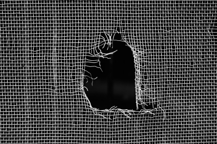5Pcs 3M Window Screen DIY Repair Hole Net Mesh Band Type Patch Fly Bug Cover A_r 5Pcs 3M Window Screen DIY Repair Hole Net Mesh Band Type Patch Fly Bug Cover A_r