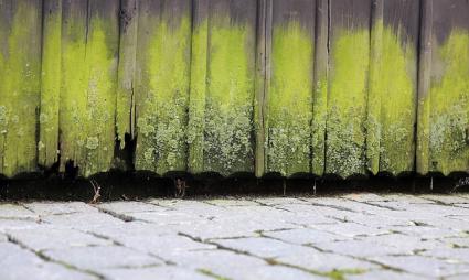 Rotten exterior door