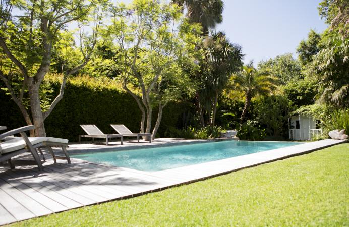 back yard pool