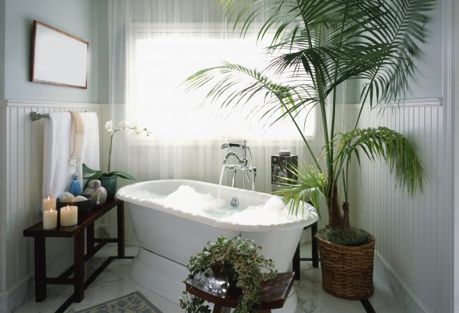Bubble bath with potted plants