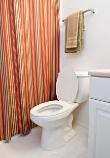 toilet