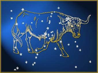 Taurus astrological sign