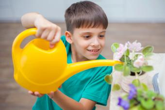 Cute boy watering blooming house plants with watering can 