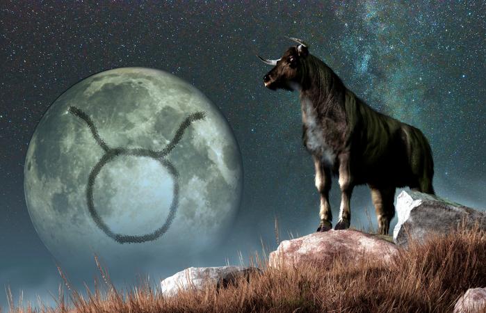 Taurus astrological sign