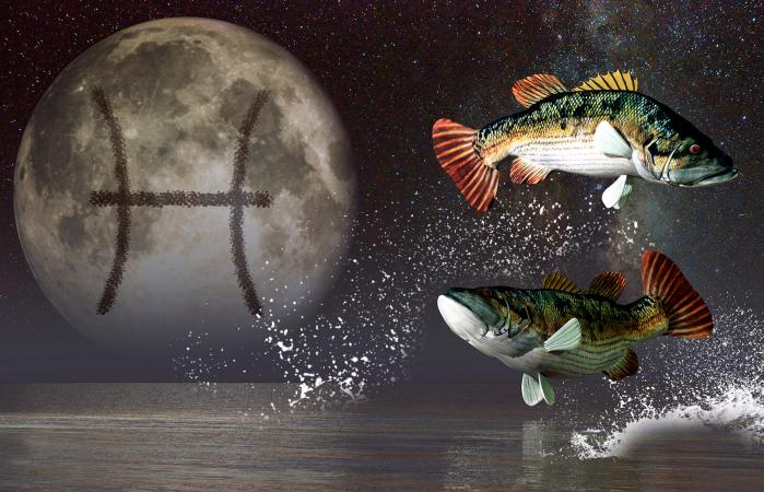 Pisces astrological sign