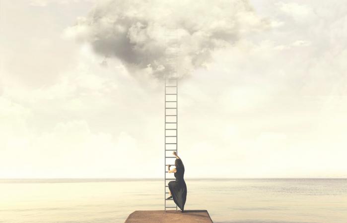 Ladder to success