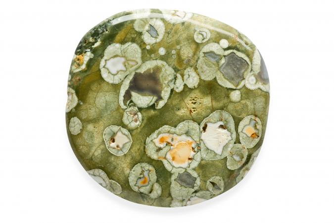 Rainforest Jasper Rhyolite