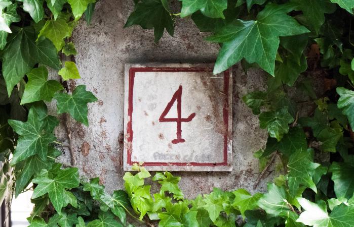 ivy and number 4
