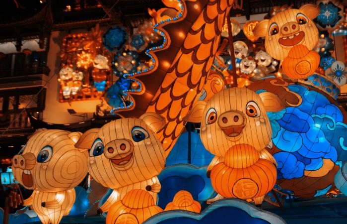 Earth Pig's Year