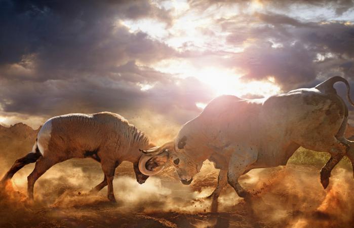 Ram and Bull
