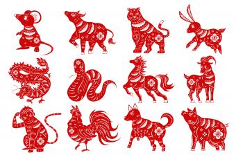 Compatibilidad según astrología china