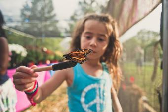 libra niño sosteniendo mariposa