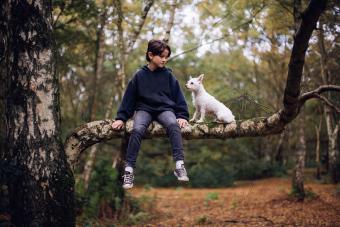 Niño en otoño con su perro