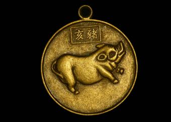 Medalla del cerdo chino