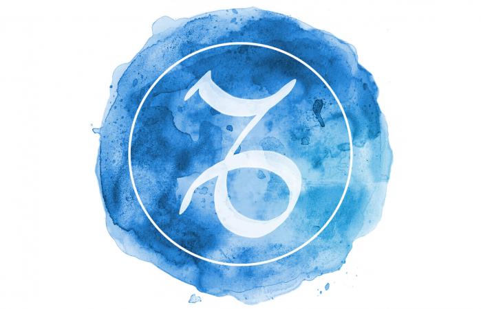 Signo Capricornio
