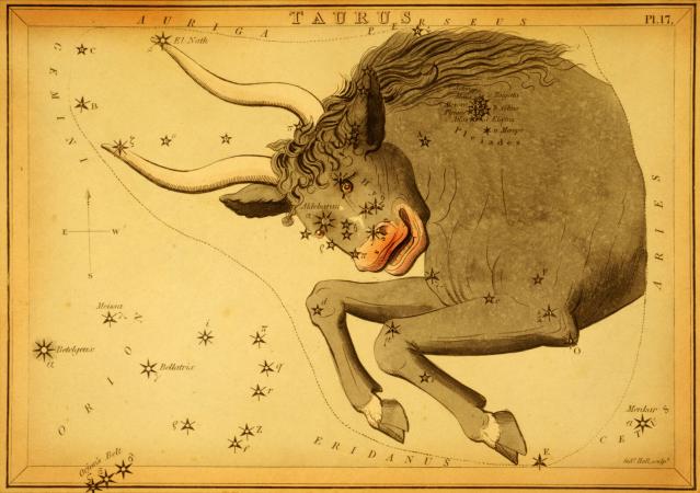 Signo del zodiaco Tauro
