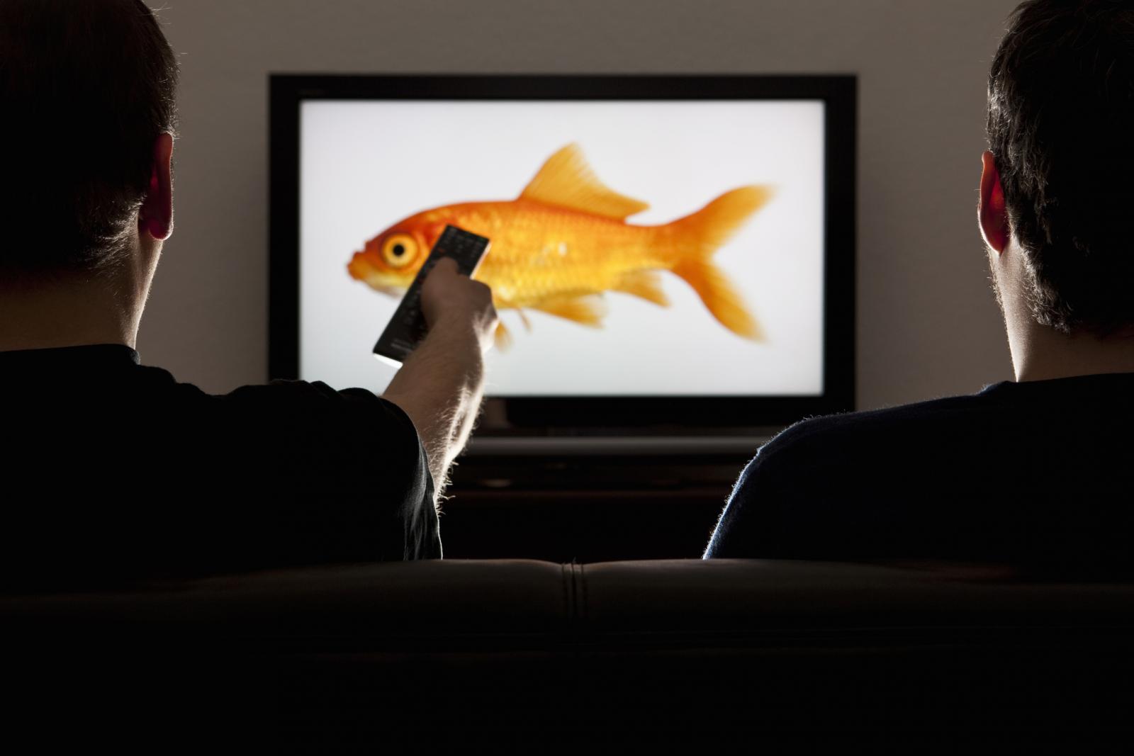 Dos hombres mirando una televisión con un pez