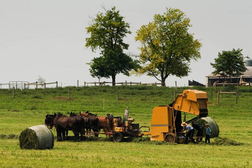 12 Pieces of Revolutionary HorseDrawn Farm Equipment LoveToKnow Pets