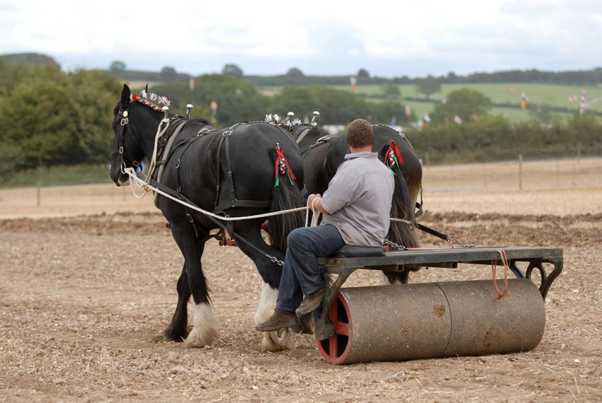 12 Pieces of Revolutionary HorseDrawn Farm Equipment LoveToKnow Pets