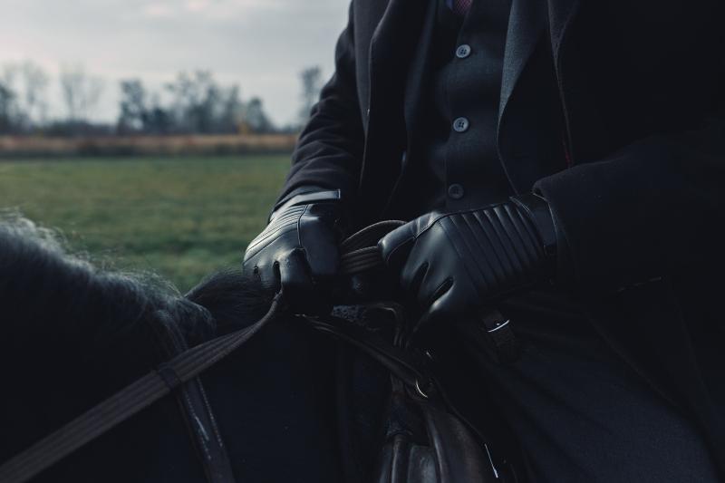 Cleaning Your Leather Horse Riding Gloves the Right Way LoveToKnow Pets