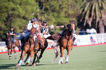 Horseball - Pato