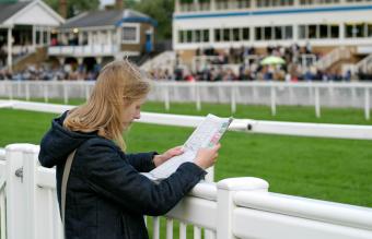 Horse Racing for Beginners