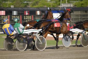 harness horse racing