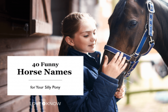 Girl horseback rider petting horse