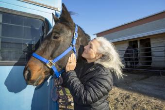Mature woman petting an older horse on ranch