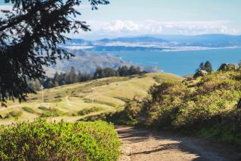 Mount Tamalpais State Park