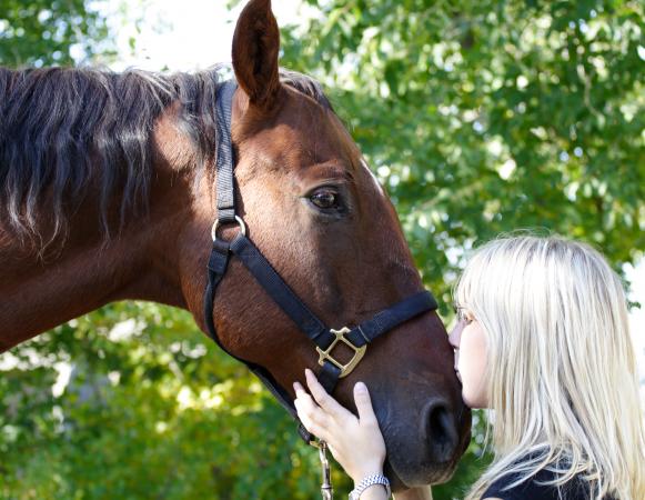 girl kissing horse
