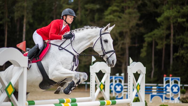 Show jumping
