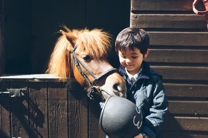 boy standing next to a pony