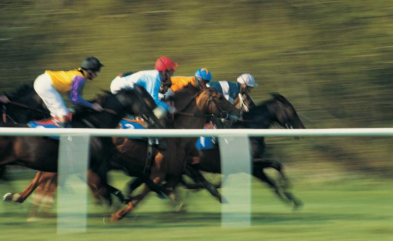 Guide To Horse Racing Types The Good Bad Lovetoknow