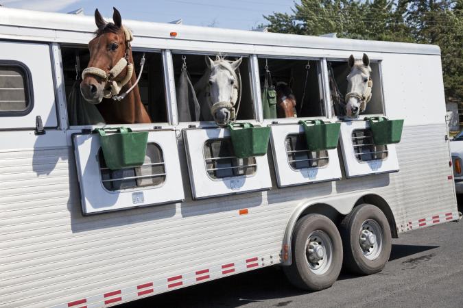 Horse Trailer