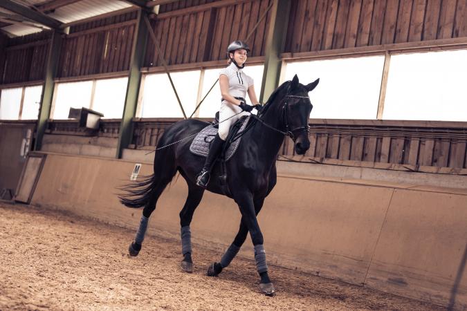 Horse Riding At Stable