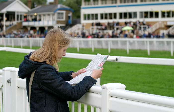Horse Racing for Beginners