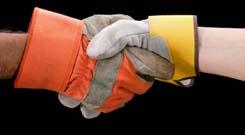 Be sure you are covered against contract breaches by a third party.